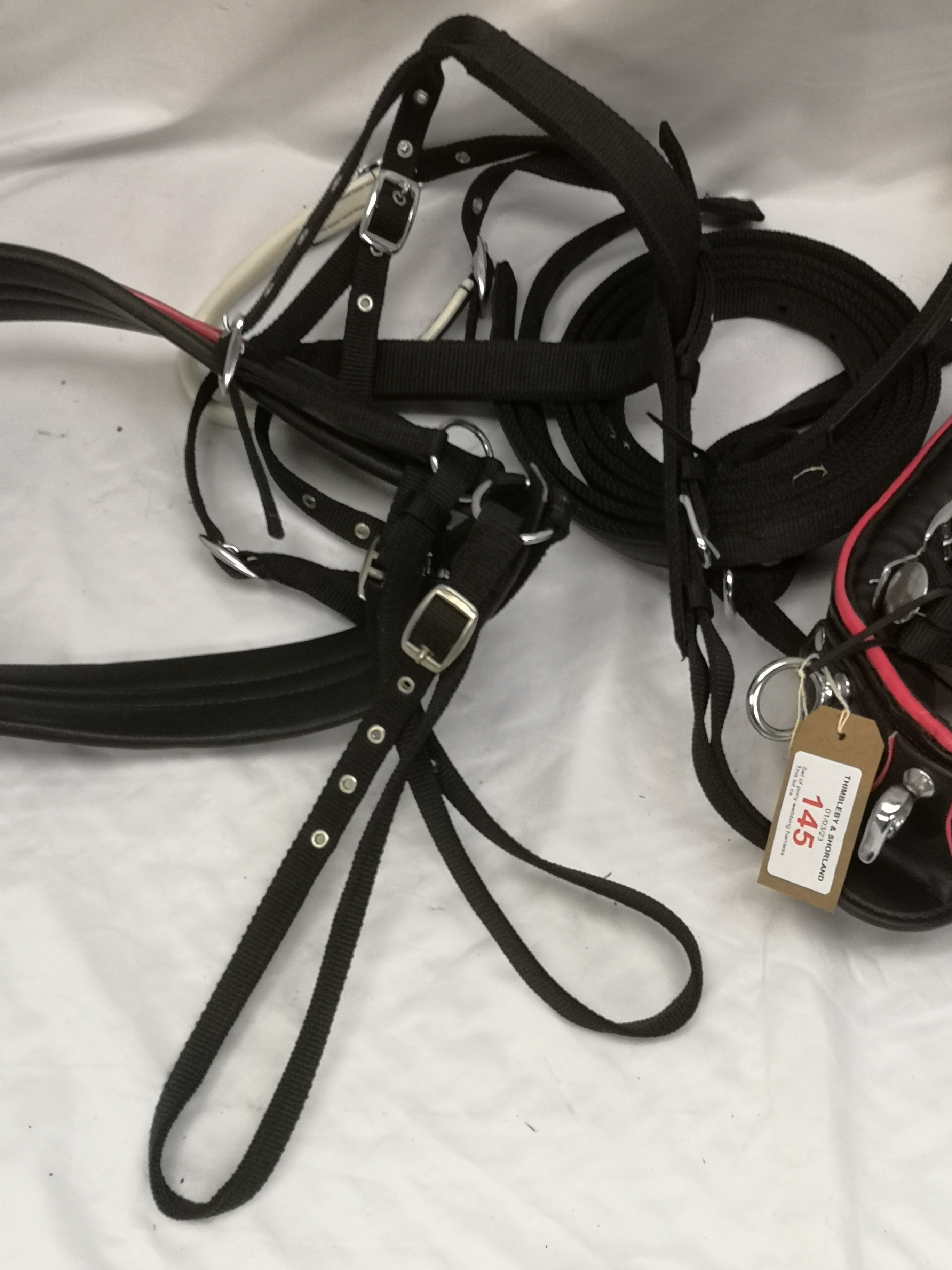 Set of pony webbing harness. This lot carries VAT. - Image 2 of 4