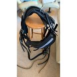 Set of cob size Tedex/Tedman training harness.