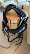 Set of cob size Tedex/Tedman training harness.