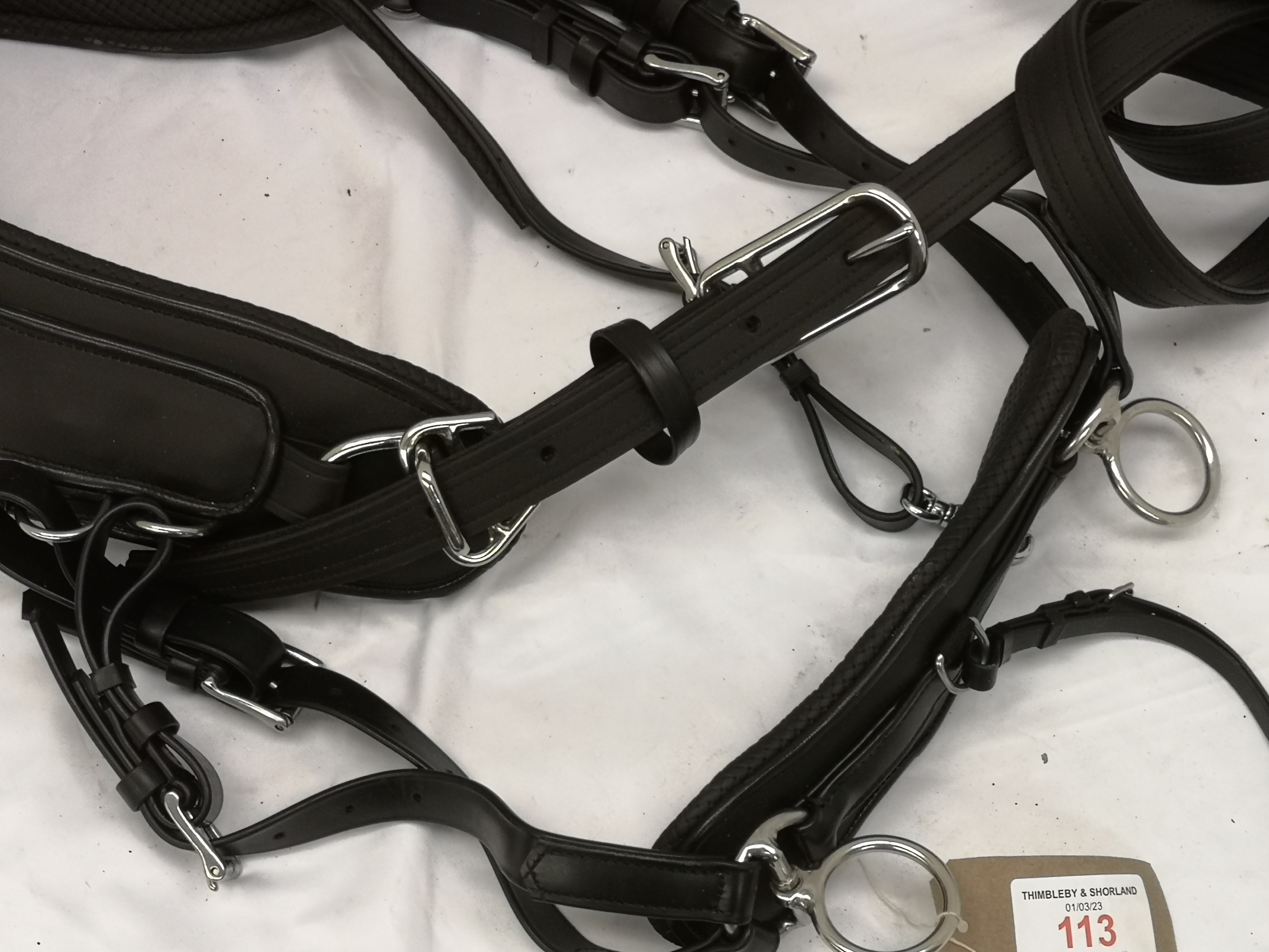 Set of full size harness with empathy collar. This lot carries VAT. - Image 5 of 7