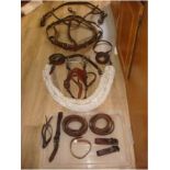 John Willie Cob size rawhide and webbing harness, leather bridle and liverpool bit.