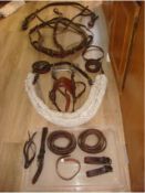 John Willie Cob size rawhide and webbing harness, leather bridle and liverpool bit.