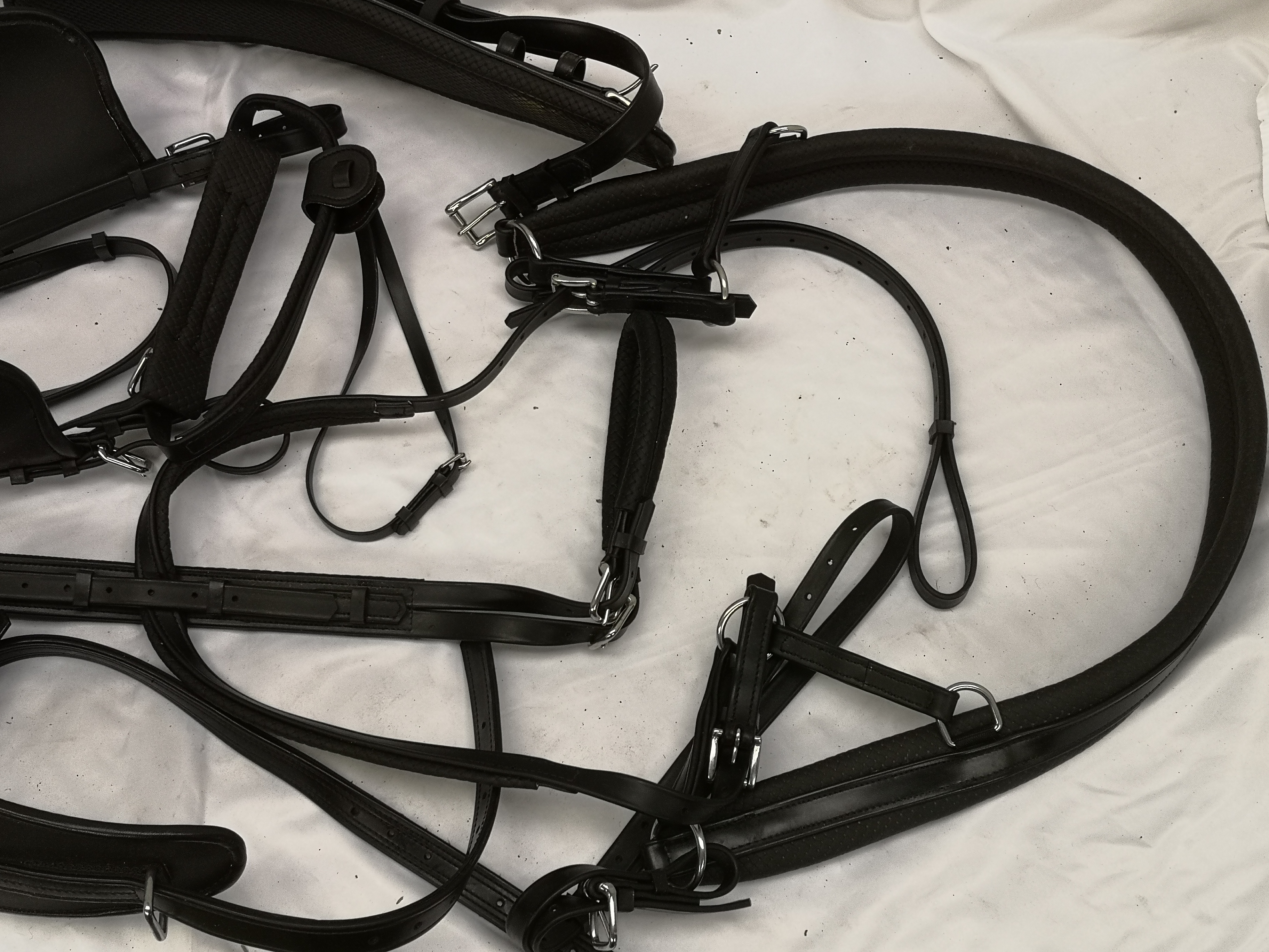 Set of full size harness with empathy collar. This lot carries VAT. - Image 4 of 7