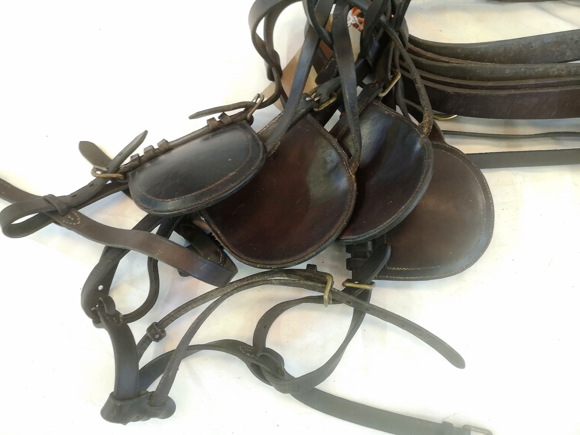 Set of buffalo harness to fit 13.2hh pony, with 2 bridles and 2 pairs of traces - Image 2 of 3