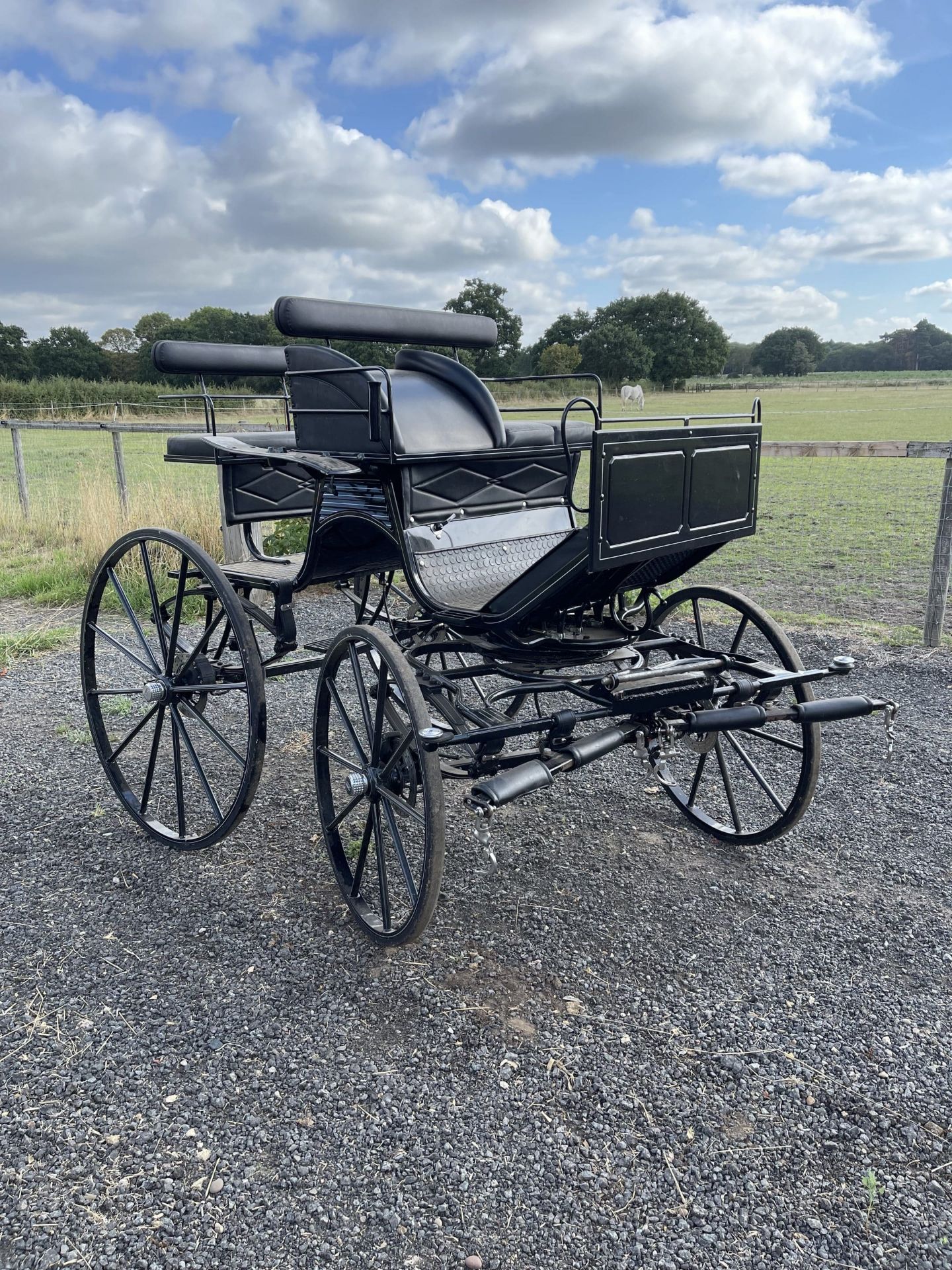 PRESENTATION VEHICLE to suit 15hh single or pair. In black powder coat finish with white lining, and