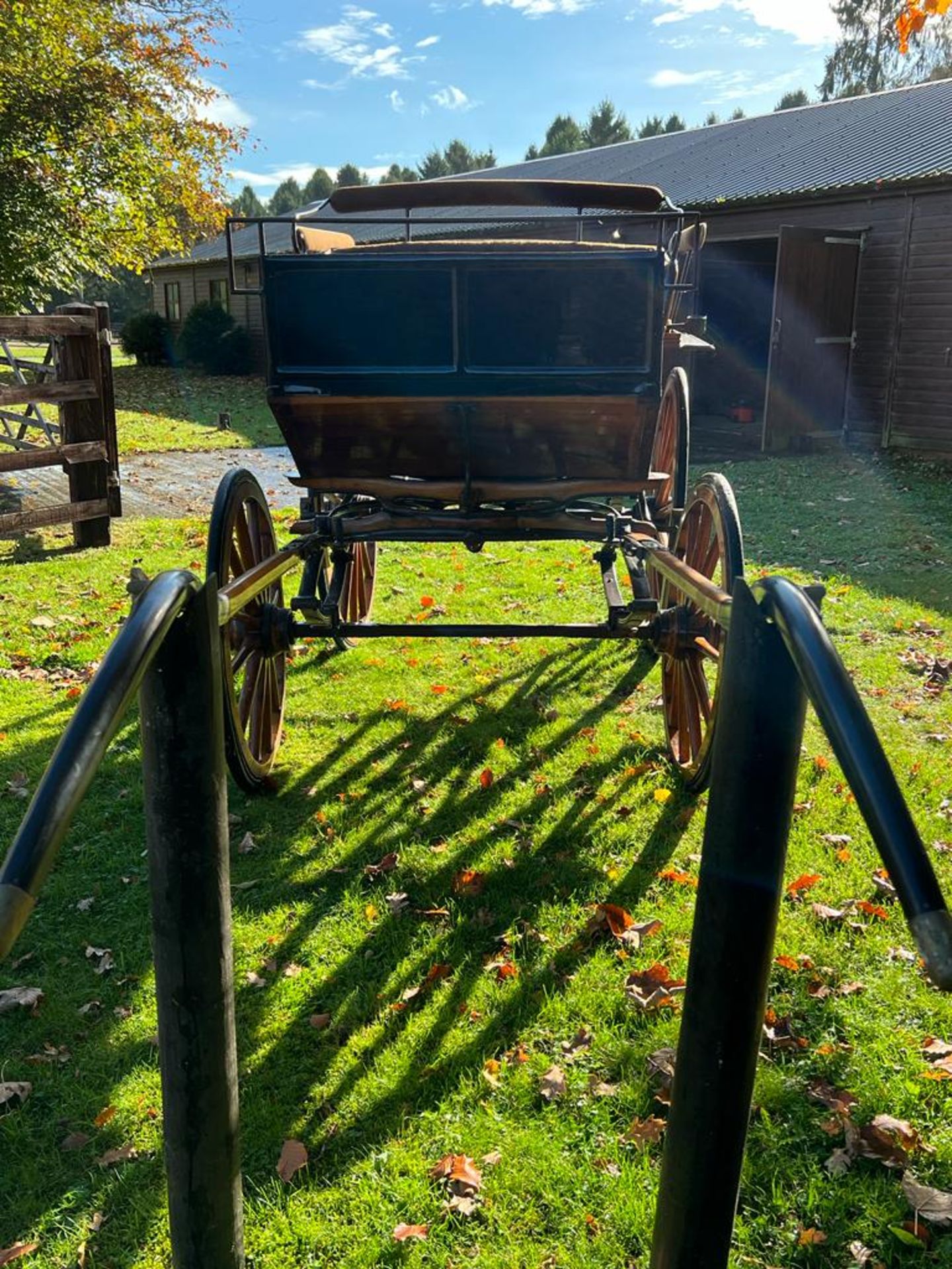 WAGONETTE built by Schmeid of Germany in the late 1800s to suit 14.2 to 15.2hh single or pair. The - Bild 5 aus 5