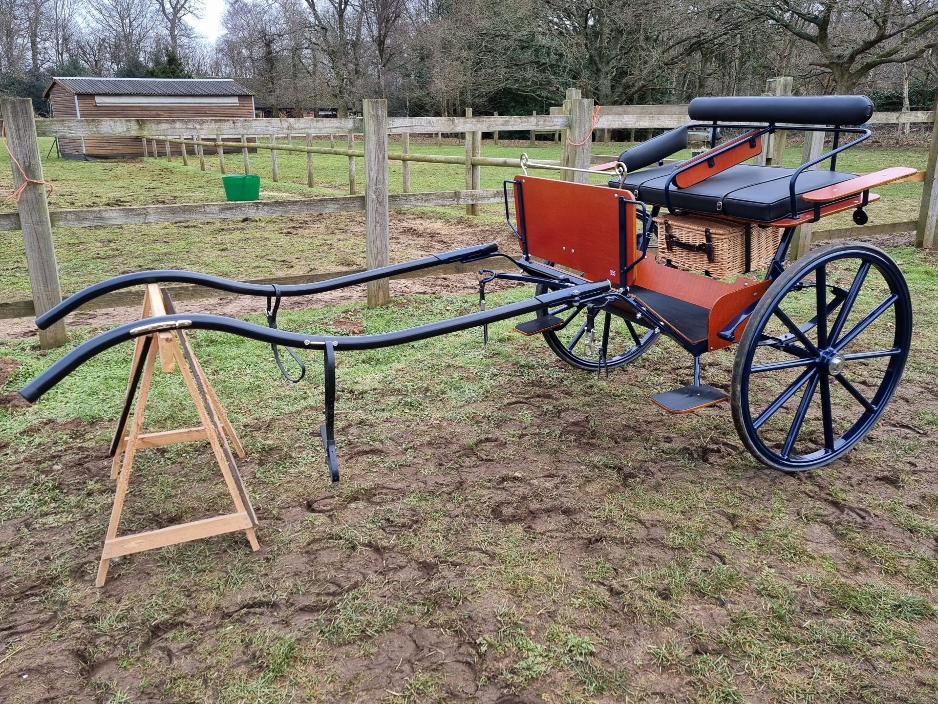 BENNINGTON BUCCANEER built in 2020 to suit 12.2 to 13hh. The body is in natural varnished wood - Image 2 of 5