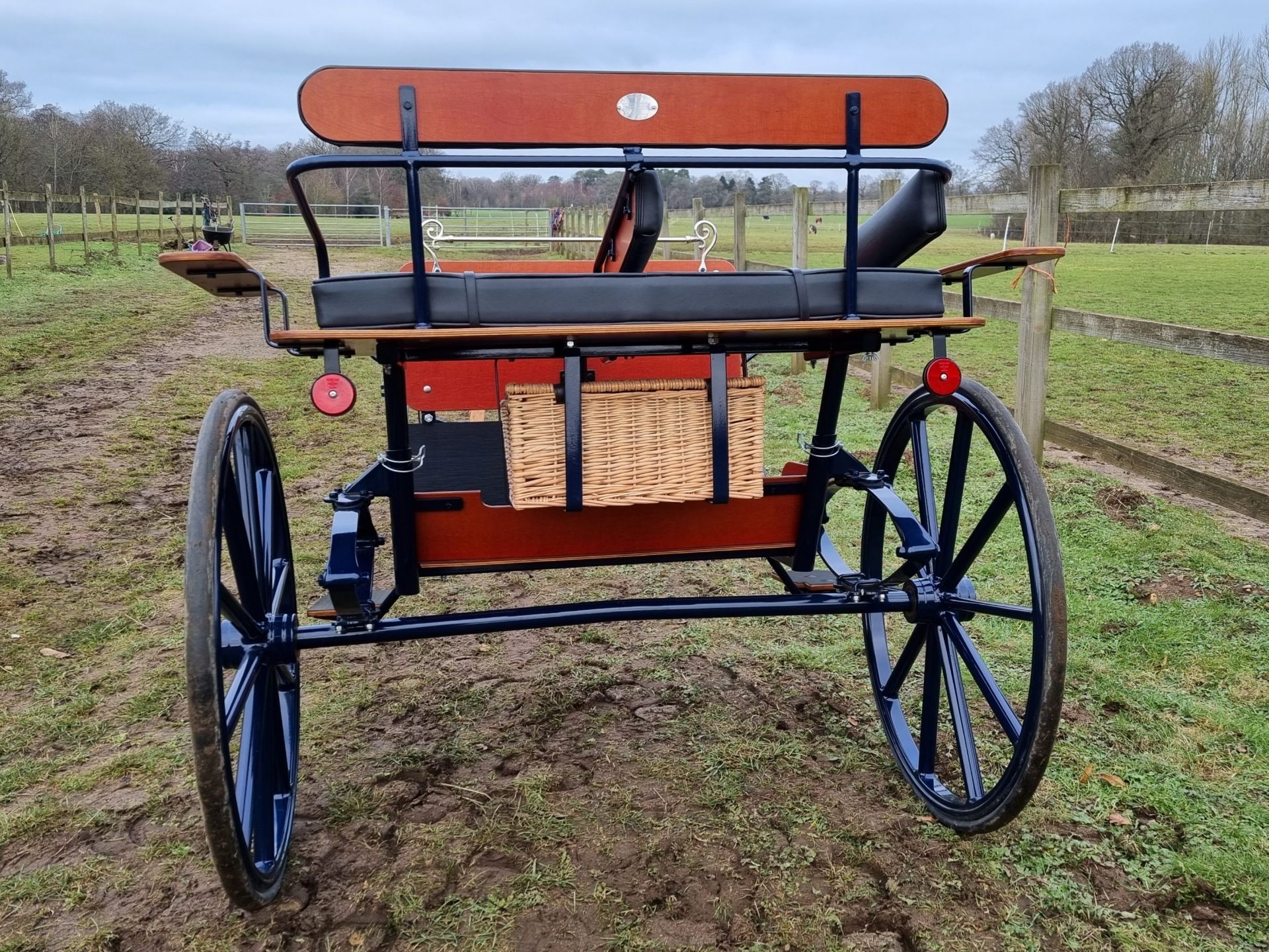 BENNINGTON BUCCANEER built in 2020 to suit 12.2 to 13hh. The body is in natural varnished wood - Image 4 of 5