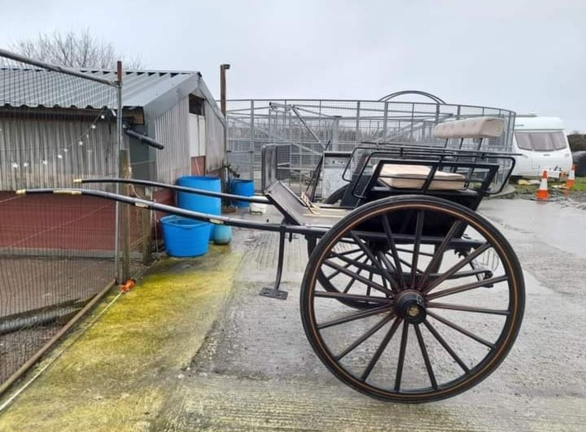 LIVERPOOL GIG built by The Bristol Wagon & Carriage Works Co. Ltd. circa 1900 to suit 12 to 13.2hh - Image 2 of 8