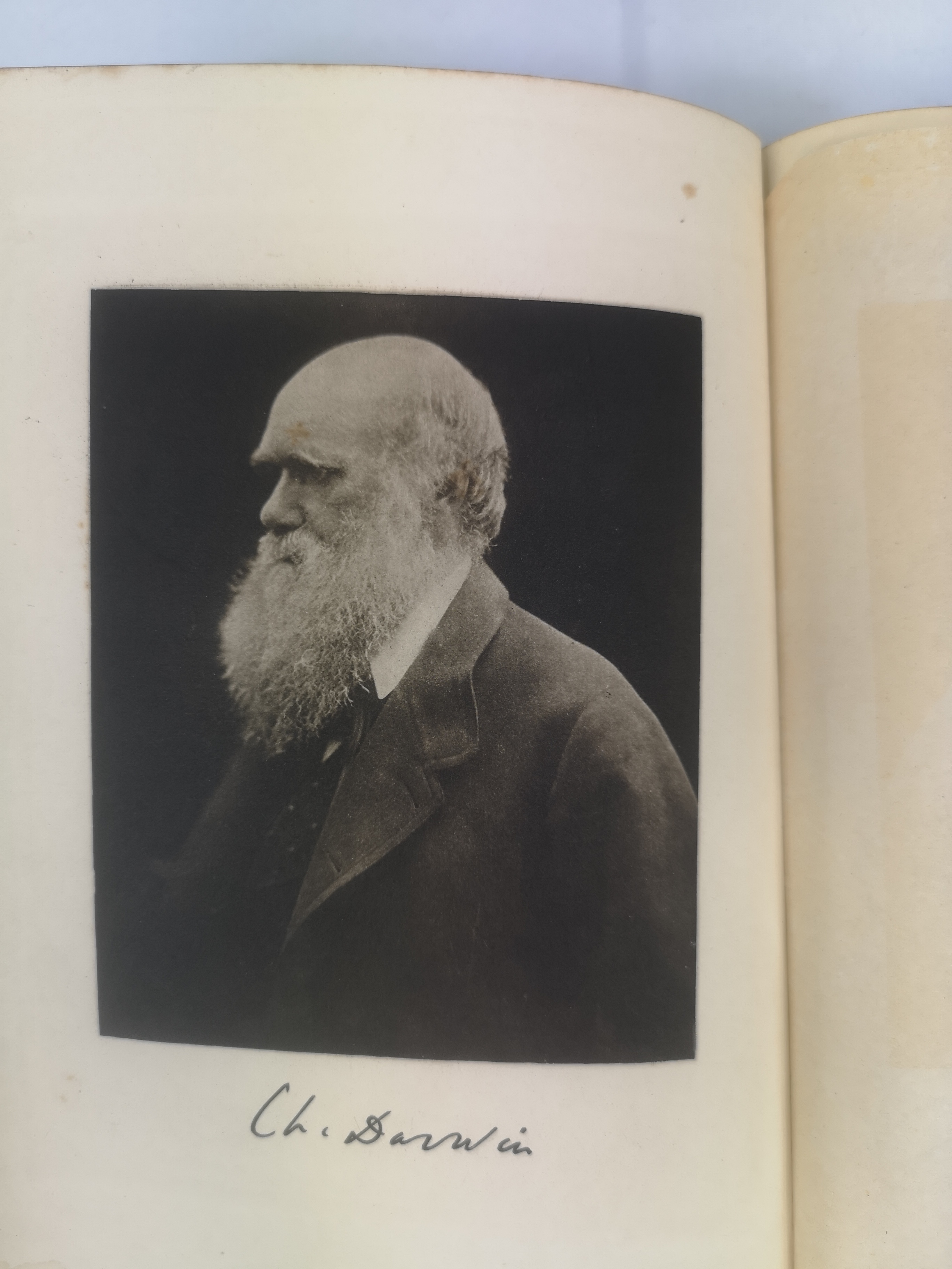 The Origin of Species by Charles Darwin, leather bound, published John Murray, 1901 - Image 3 of 5