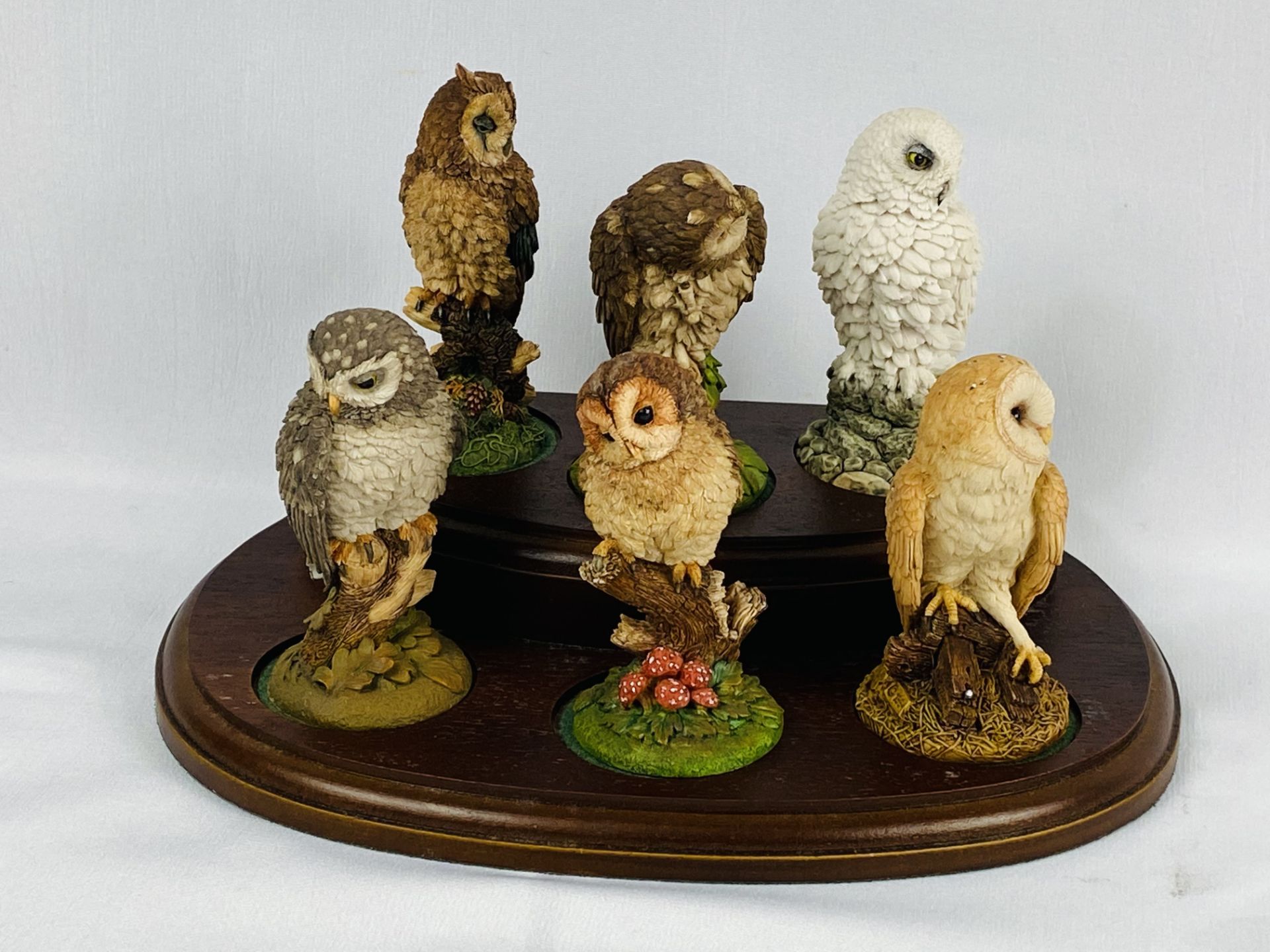 Six Royal Doulton owl figurines - Image 2 of 5