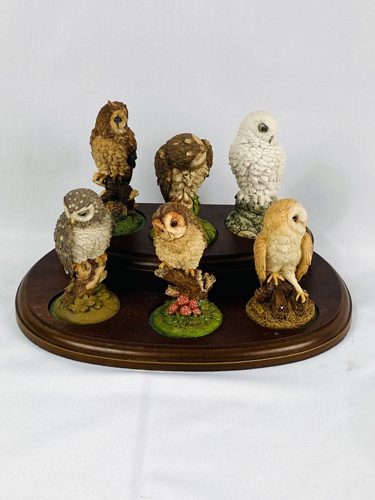 Six Royal Doulton owl figurines