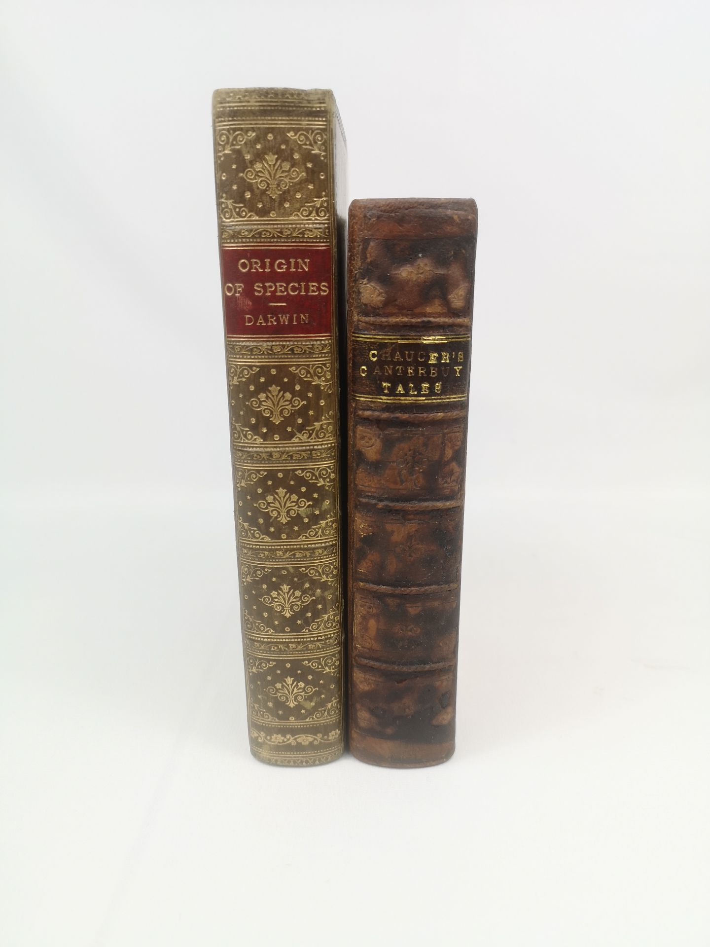 The Origin of Species by Charles Darwin, leather bound, published John Murray, 1901