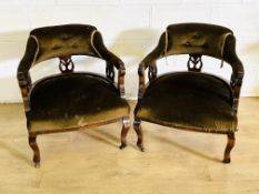 Two mahogany open tub chairs