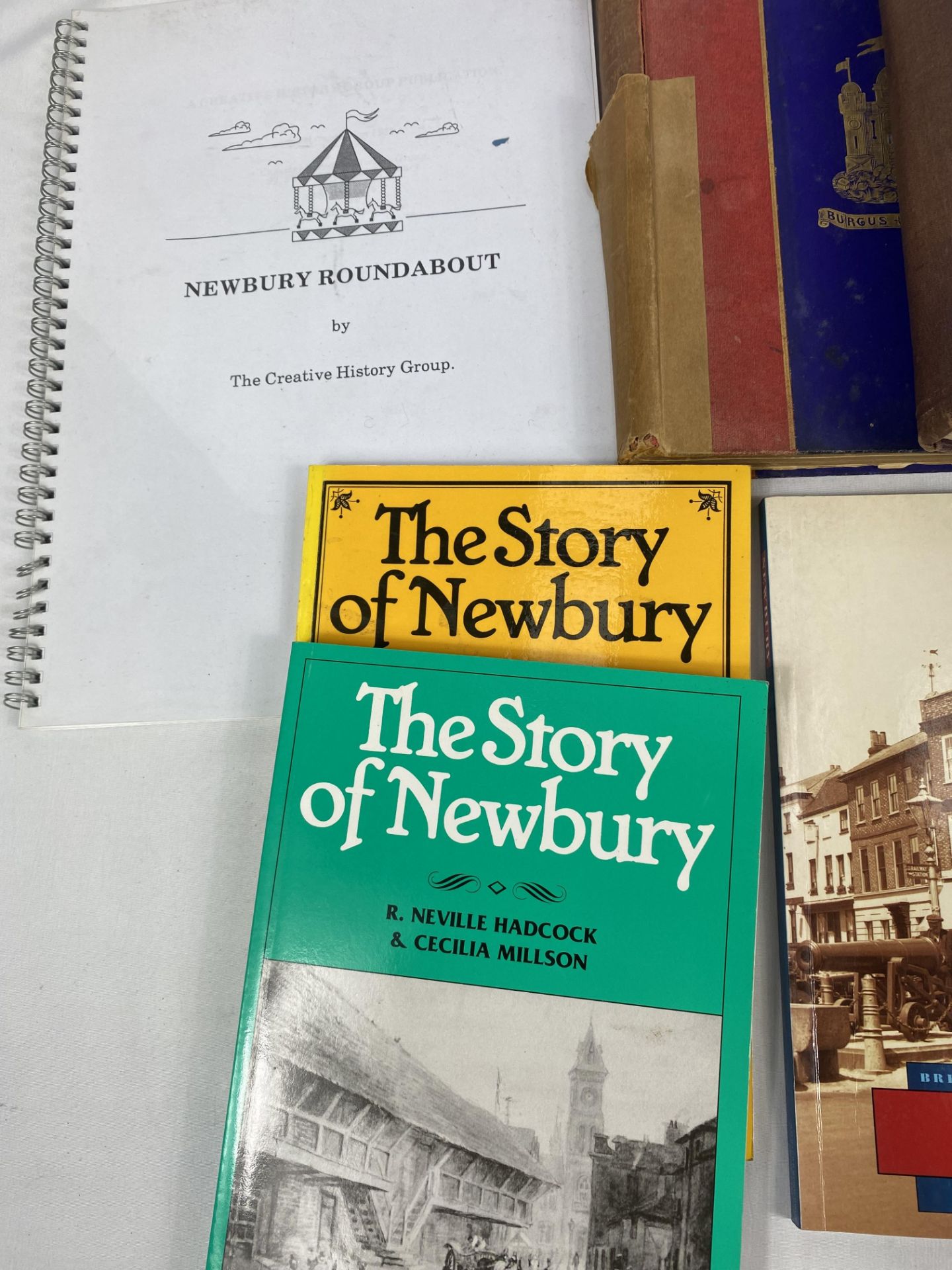 Quantity of books on Reading and Newbury. - Image 2 of 6