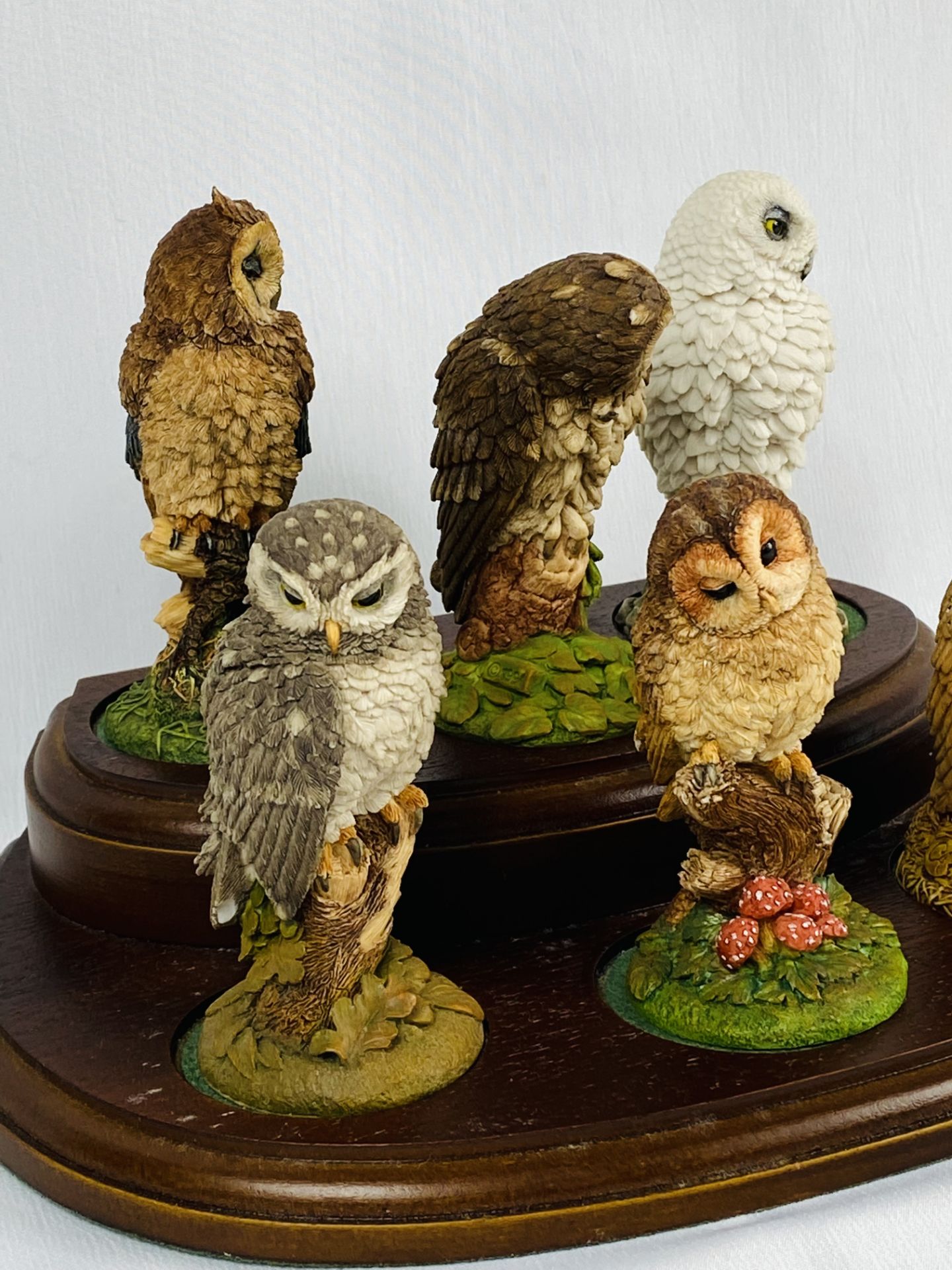 Six Royal Doulton owl figurines - Image 4 of 5