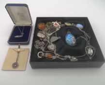 Collection of silver pendants and necklaces
