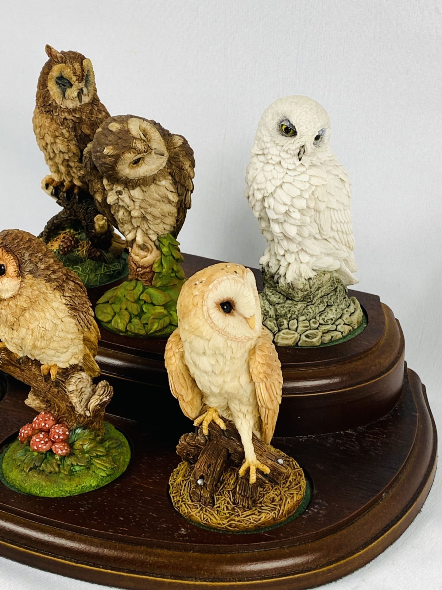Six Royal Doulton owl figurines - Image 3 of 5
