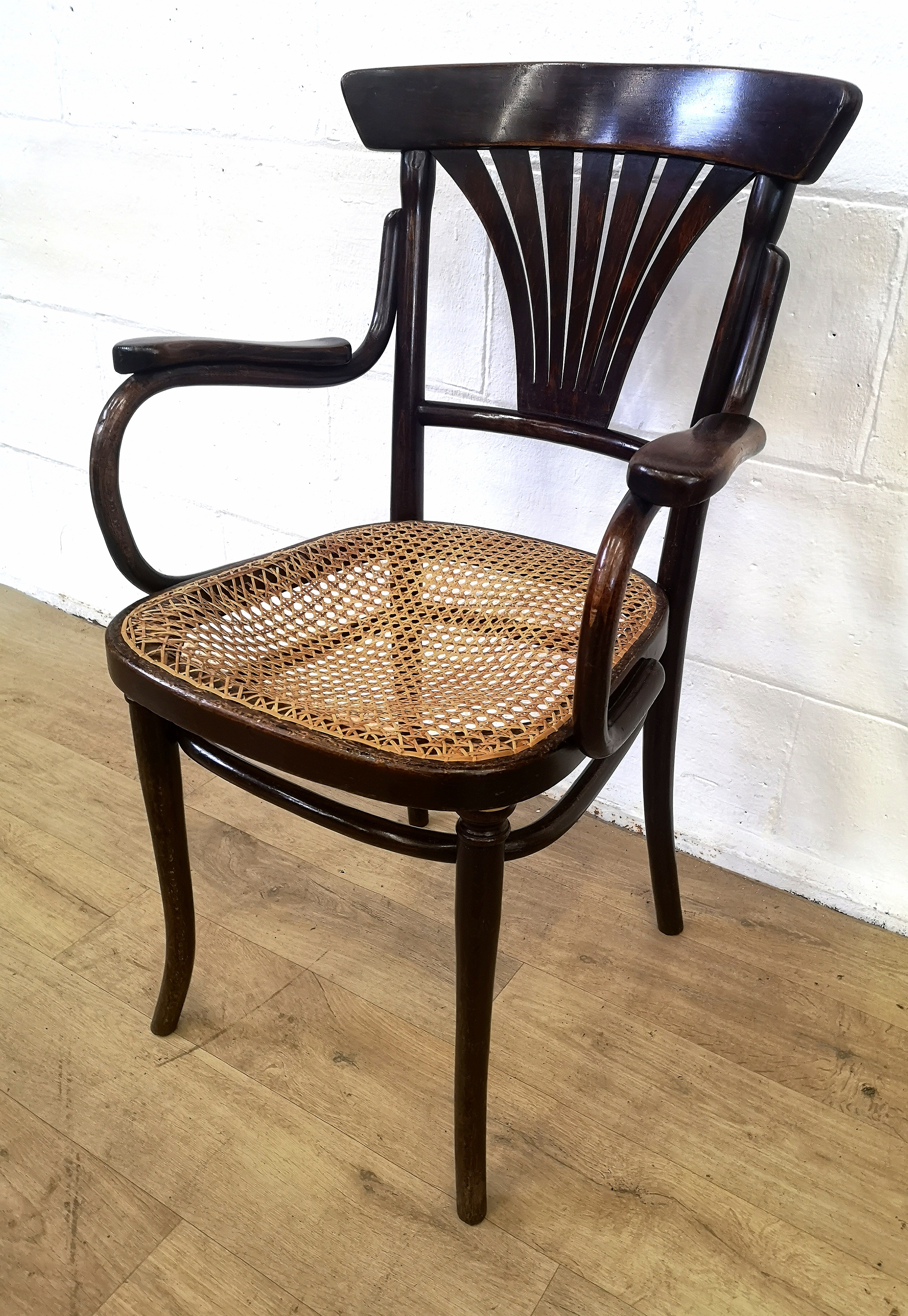Pair of bentwood open armchairs - Image 4 of 5
