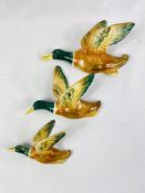 Three Staffordshire pottery ducks