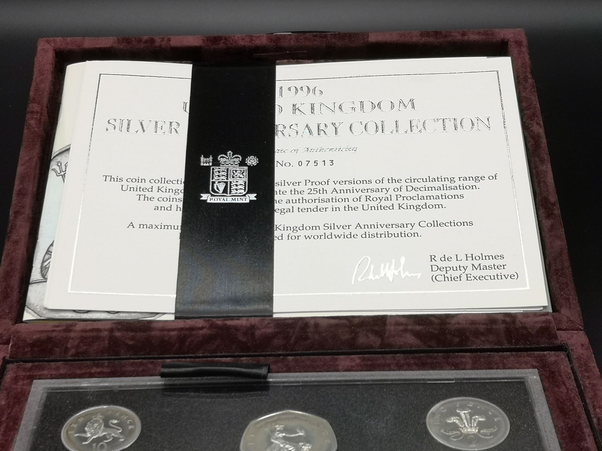Elizabeth II Royal Mint silver Proof anniversary collection, 1996 - Image 6 of 6