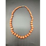 Coral graduated bead necklace
