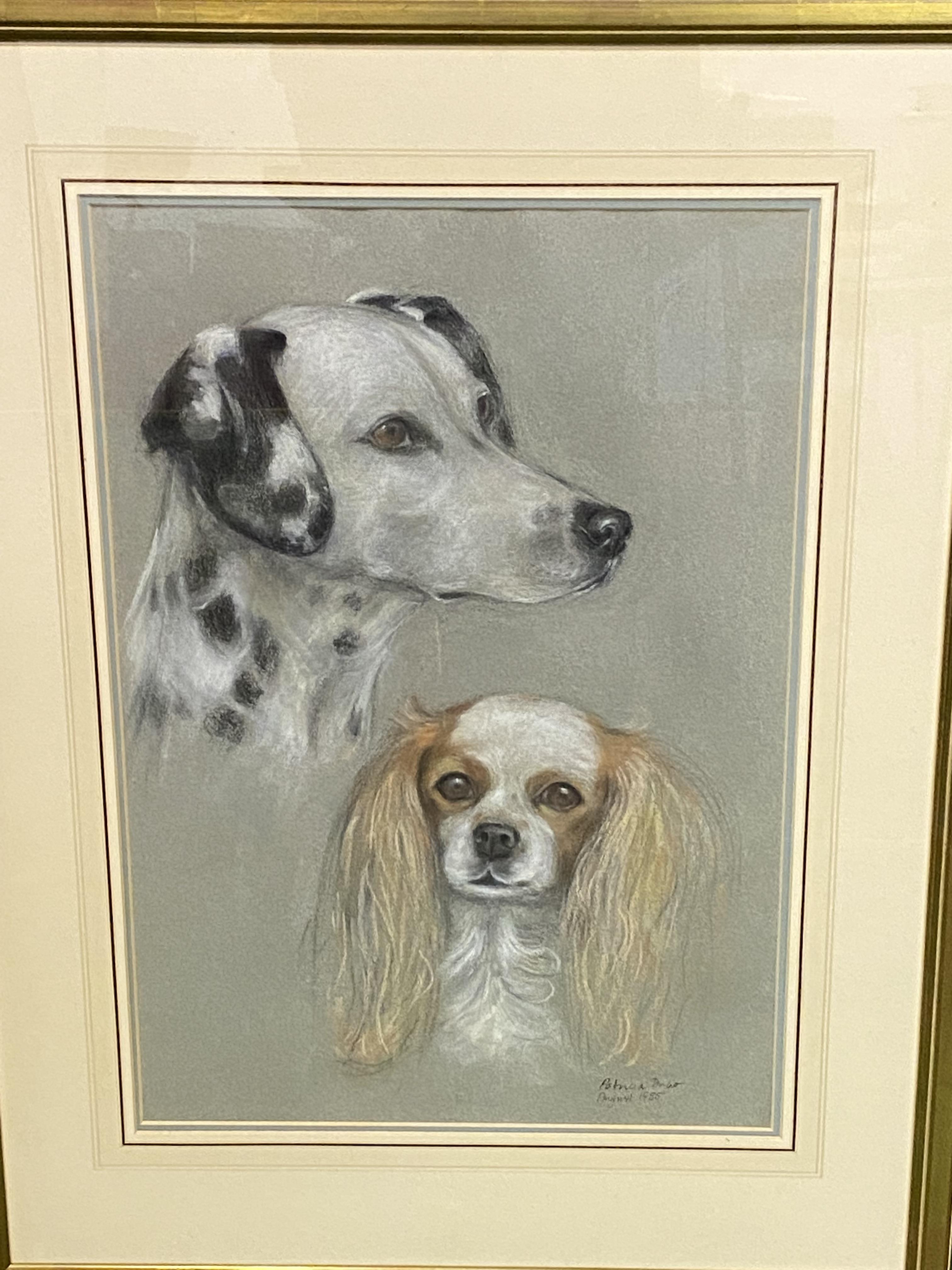 Two framed and glazed pastels of dogs - Image 2 of 5