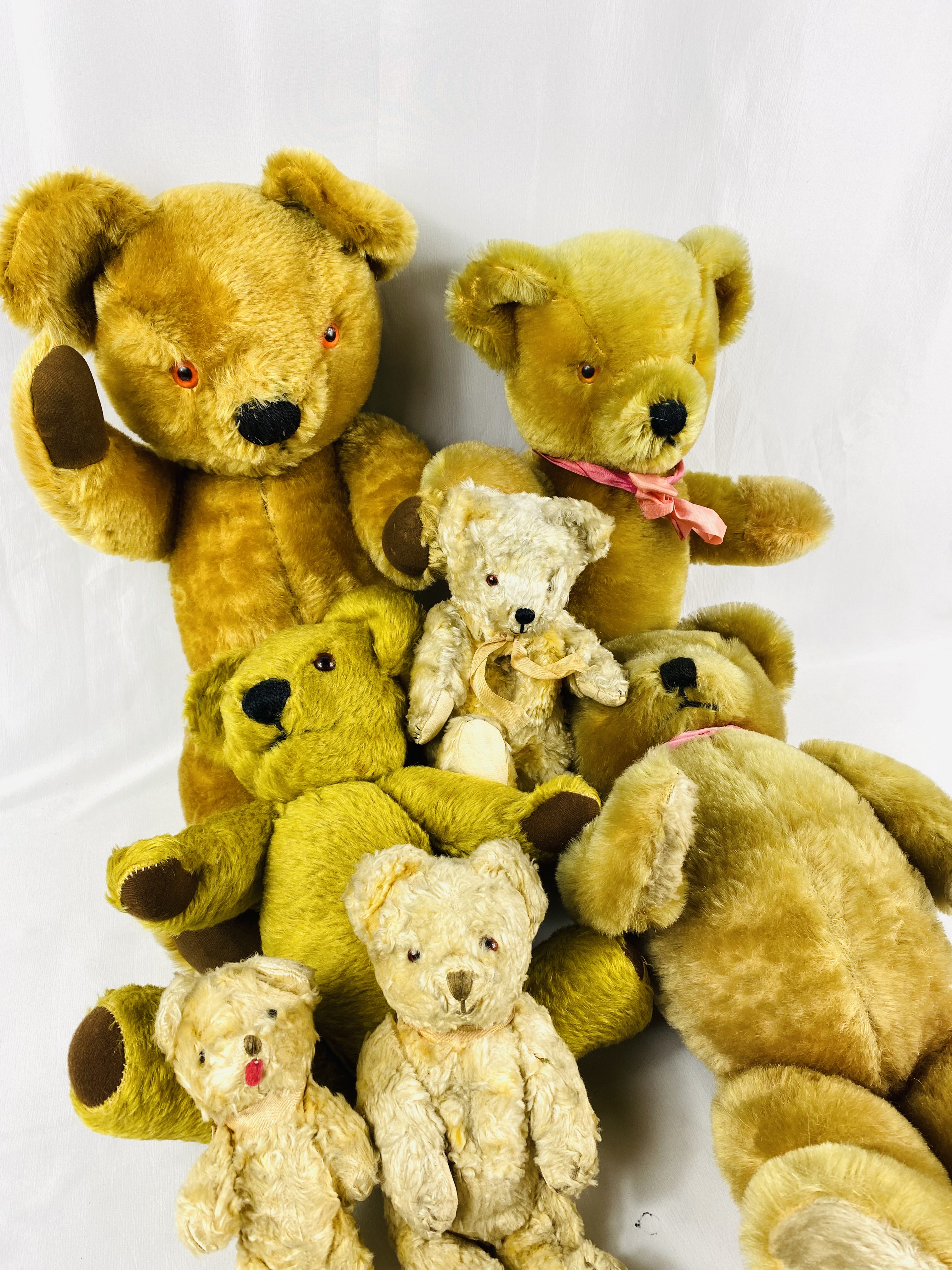 Collection of teddy bears - Image 5 of 5