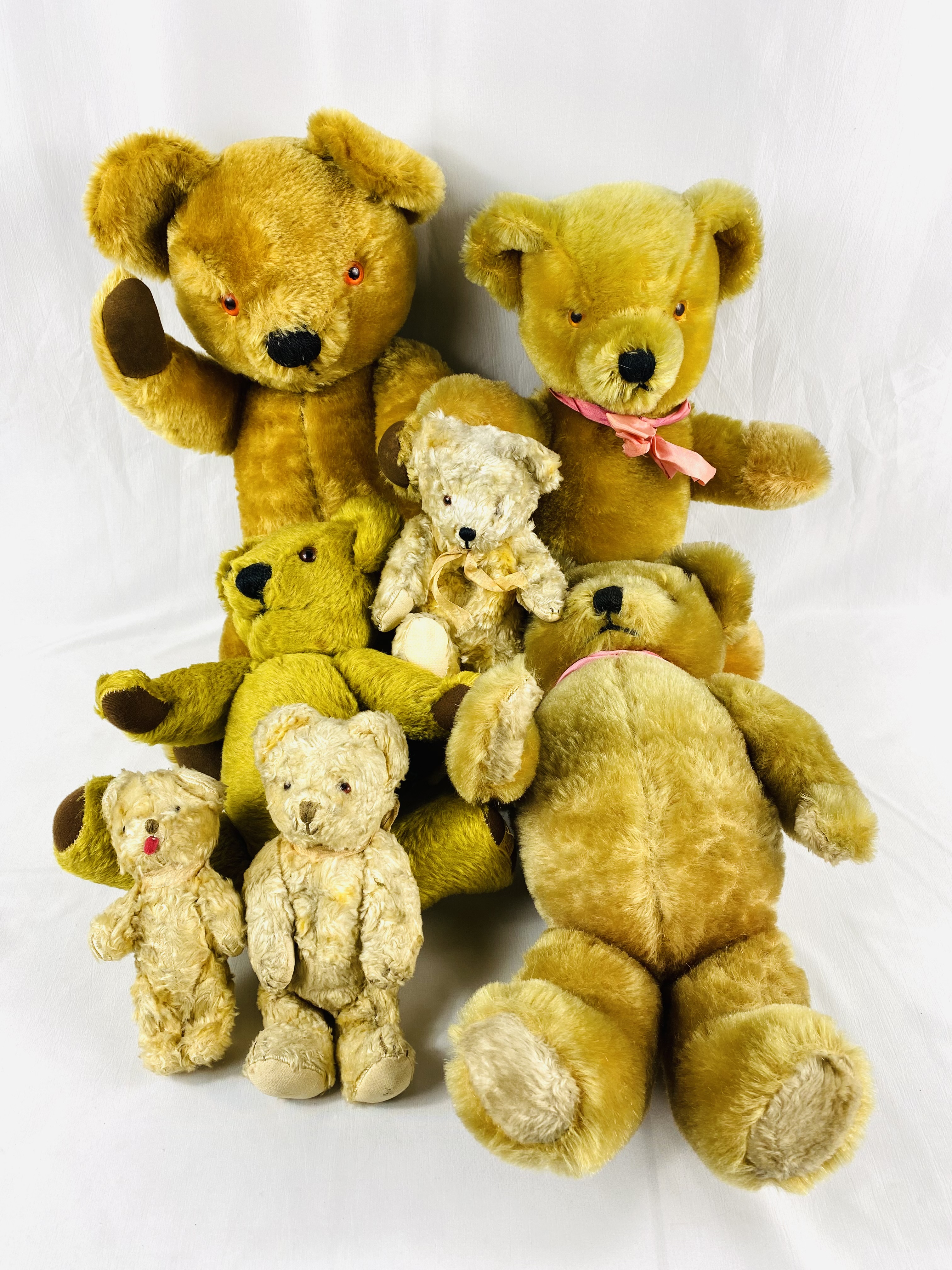 Collection of teddy bears