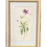 Two framed and glazed watercolours of flowers