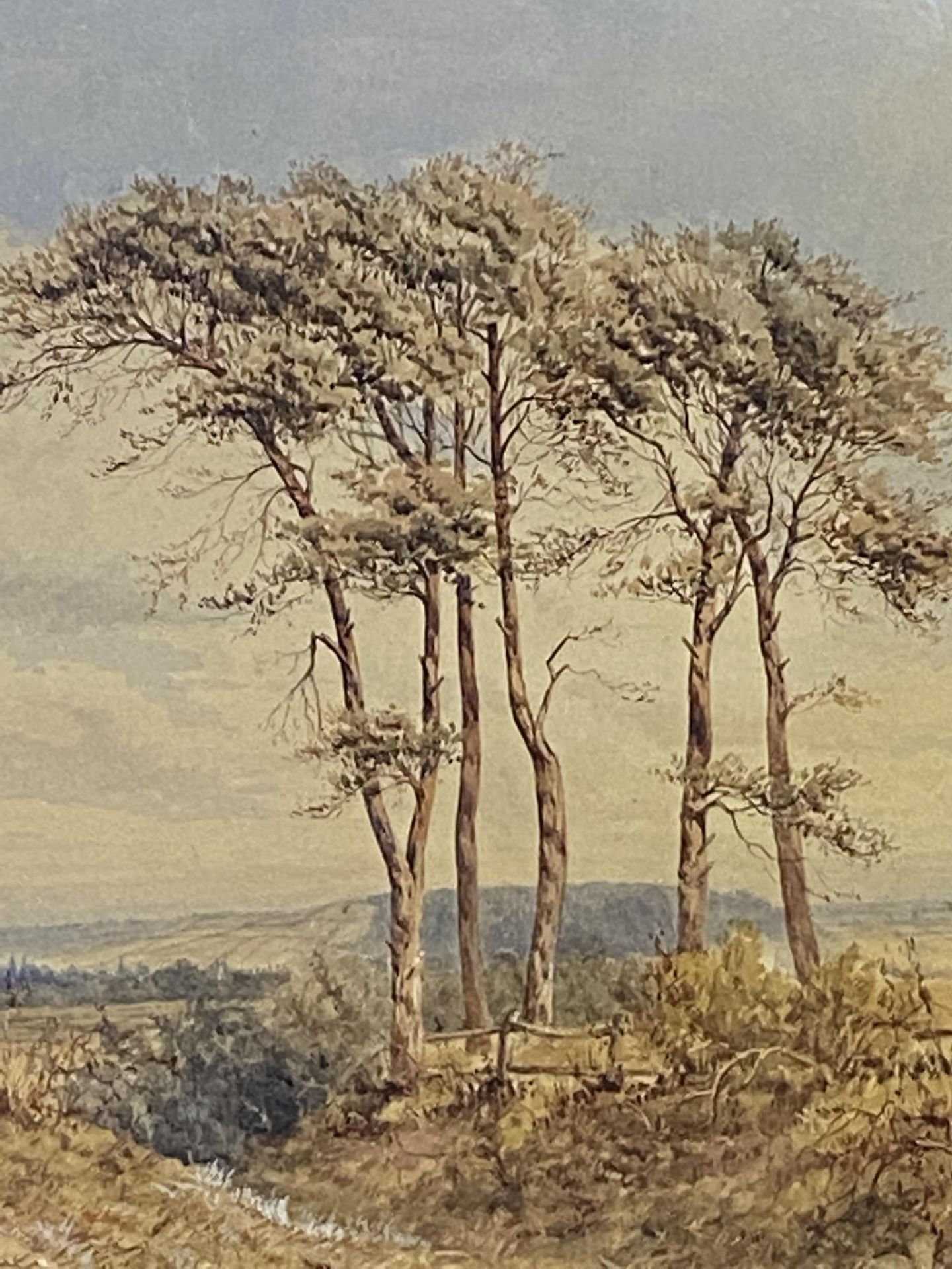 William Wilde framed and glazed watercolour - Bild 3 aus 4