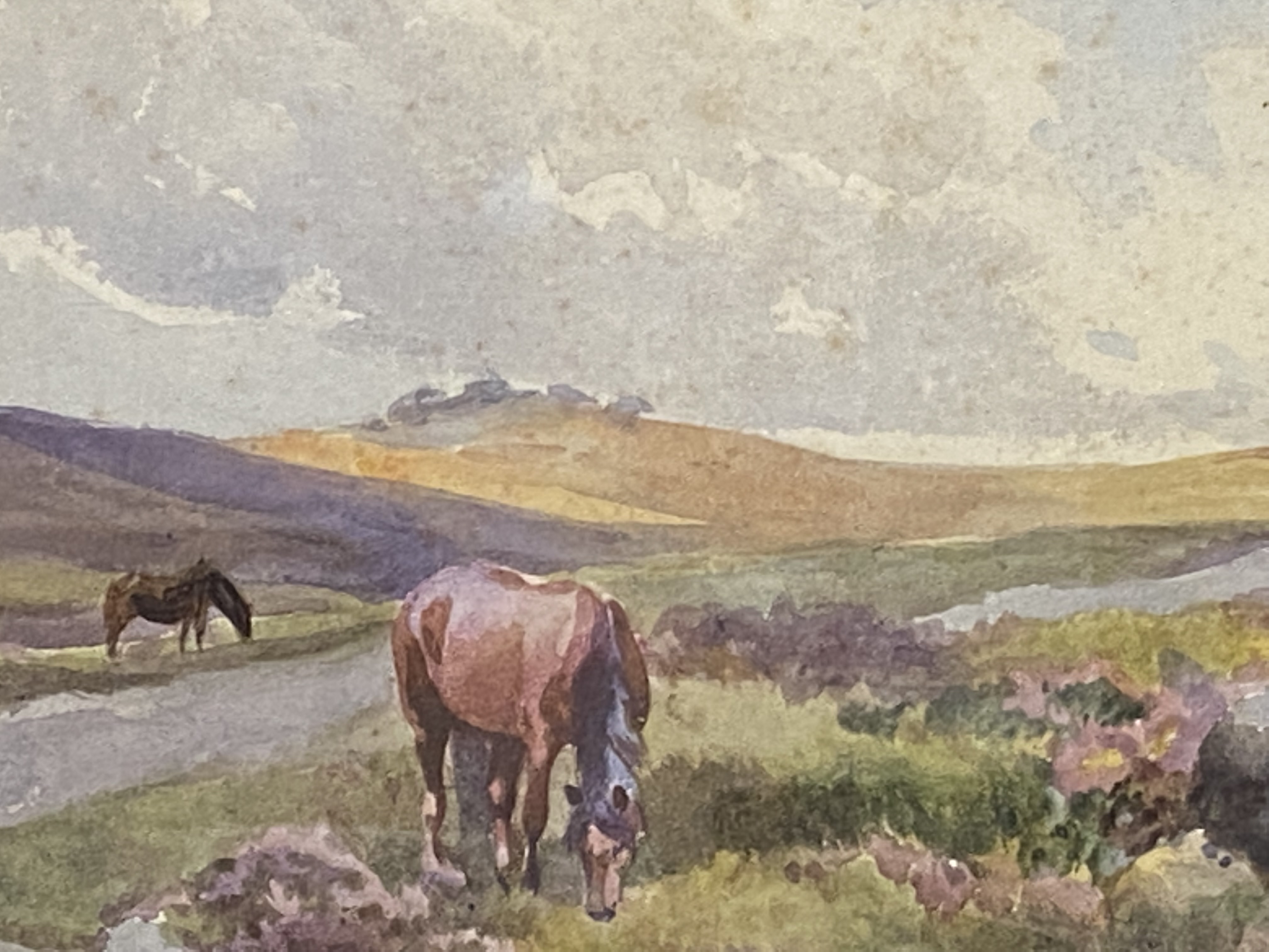 Framed and glazed watercolour of Dartmoor ponies