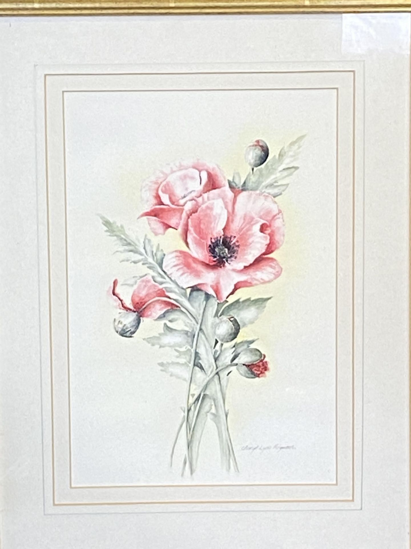 Two framed and glazed watercolours of flowers - Image 3 of 3