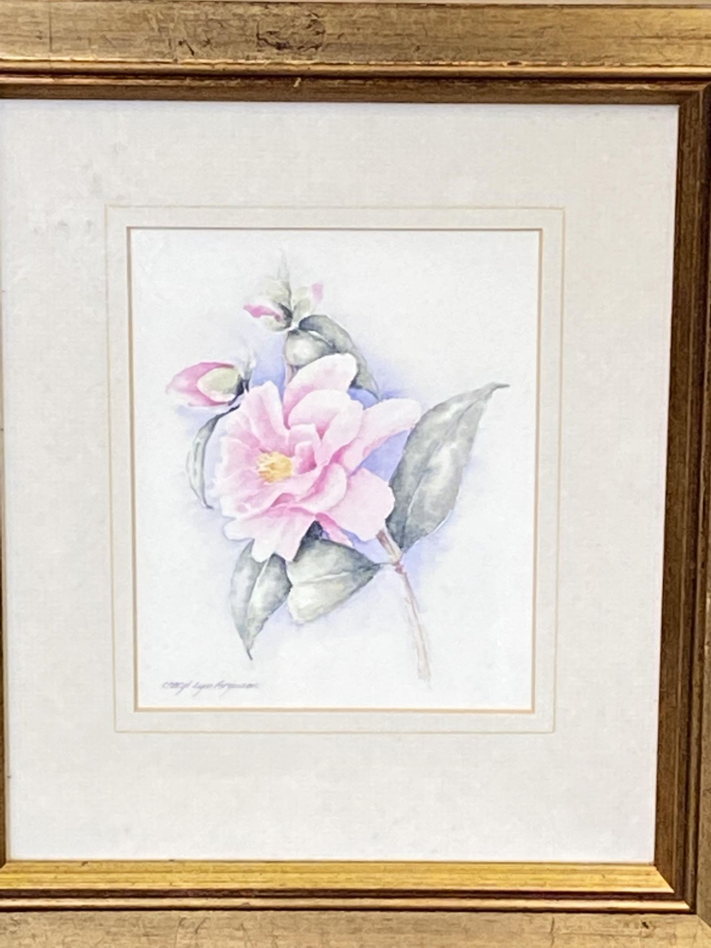 Two framed and glazed watercolours of flowers - Image 4 of 4