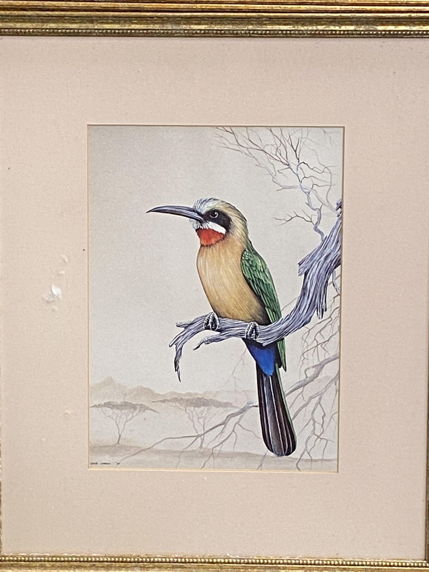 Three prints of exotic birds - Image 2 of 4