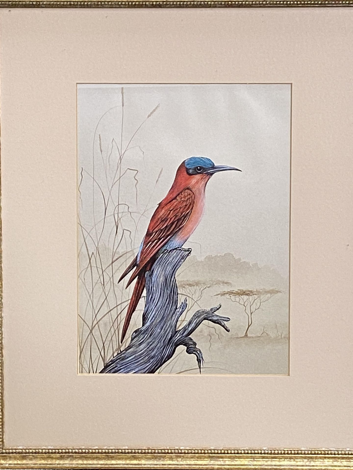 Three prints of exotic birds - Image 4 of 4