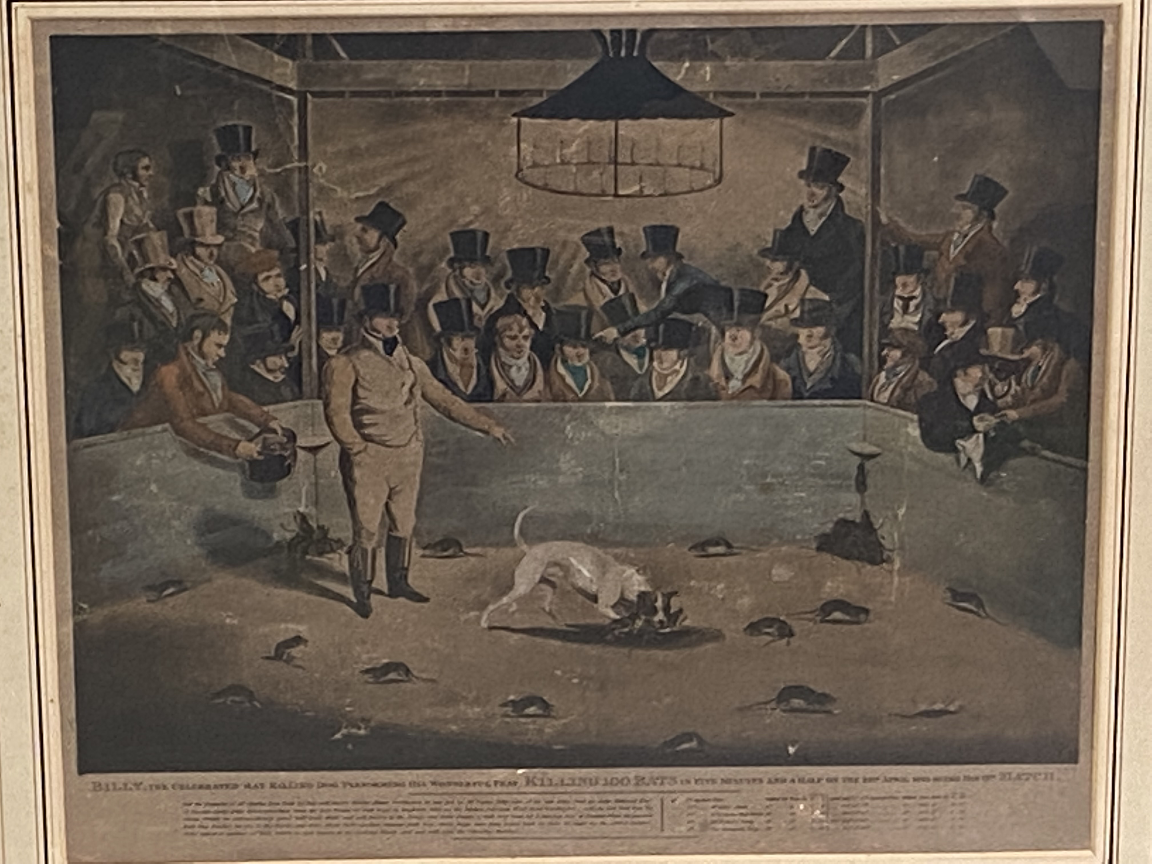 Framed and glazed print of Billy the rat killing dog - Image 4 of 4