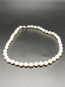 Pearl necklace with 18ct white gold clasp