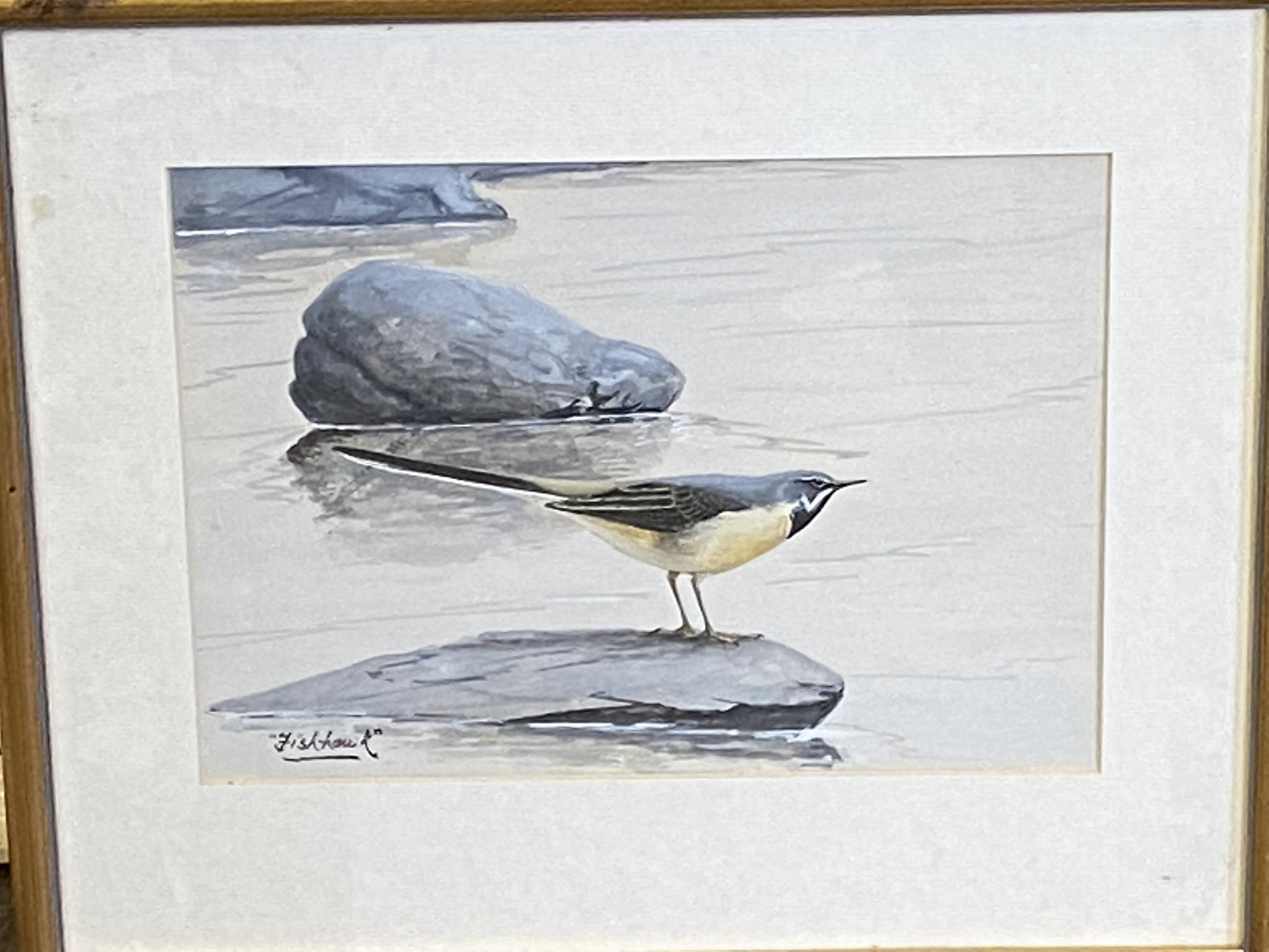 Framed and glazed watercolour titled Fish hawk - Image 2 of 4