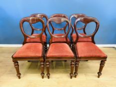 Six Victorian mahogany balloon back dining chairs