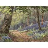 Framed and glazed watercolour, The Bluebell Wood by Albert Stevens