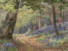 Framed and glazed watercolour, The Bluebell Wood by Albert Stevens