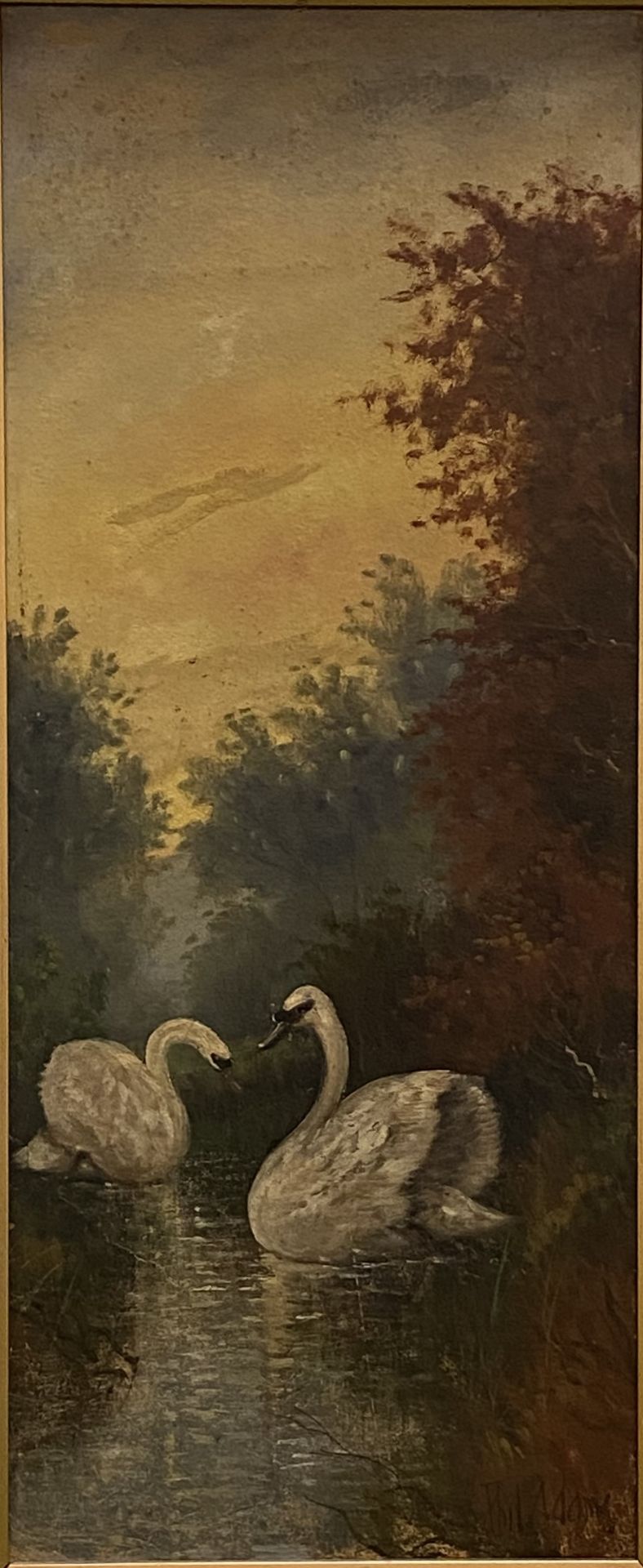 Two framed oils of swans, signed Phil Adams