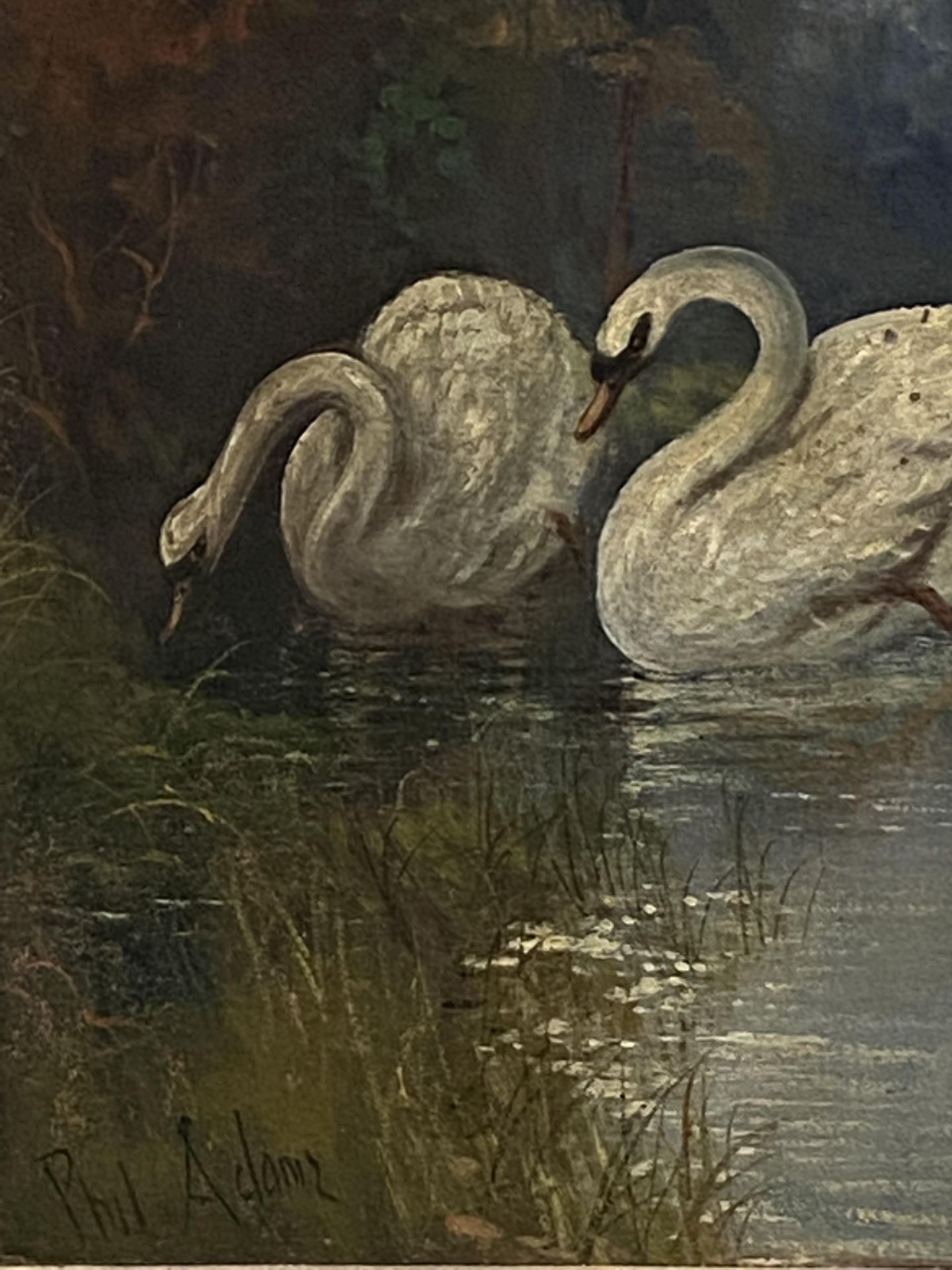 Two framed oils of swans, signed Phil Adams - Image 6 of 7