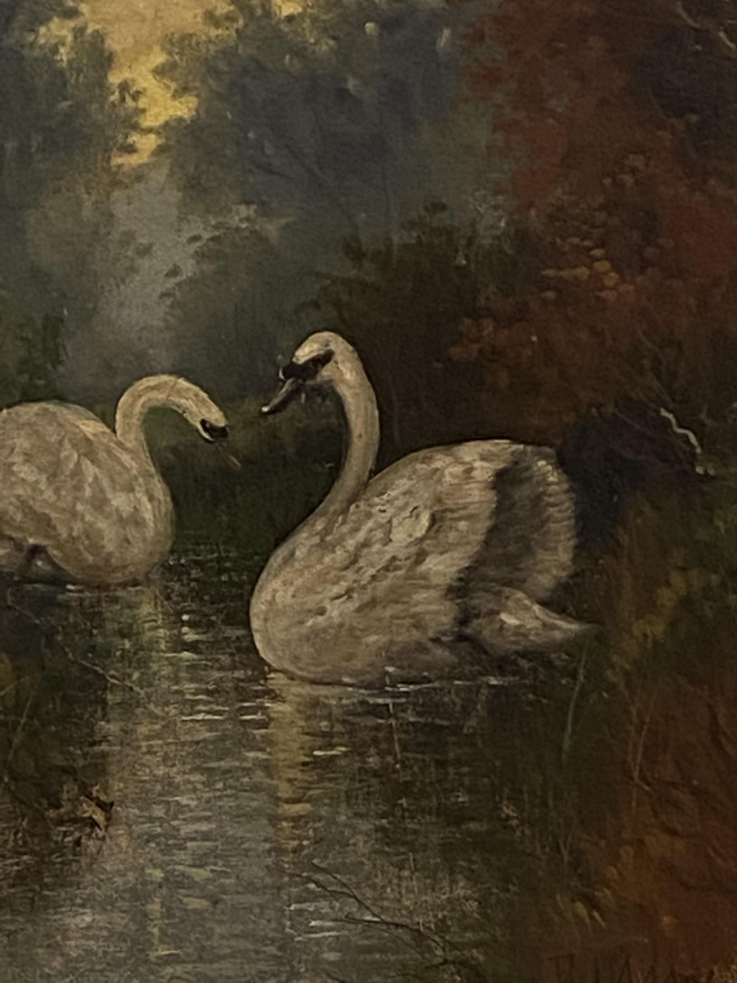 Two framed oils of swans, signed Phil Adams - Image 5 of 7