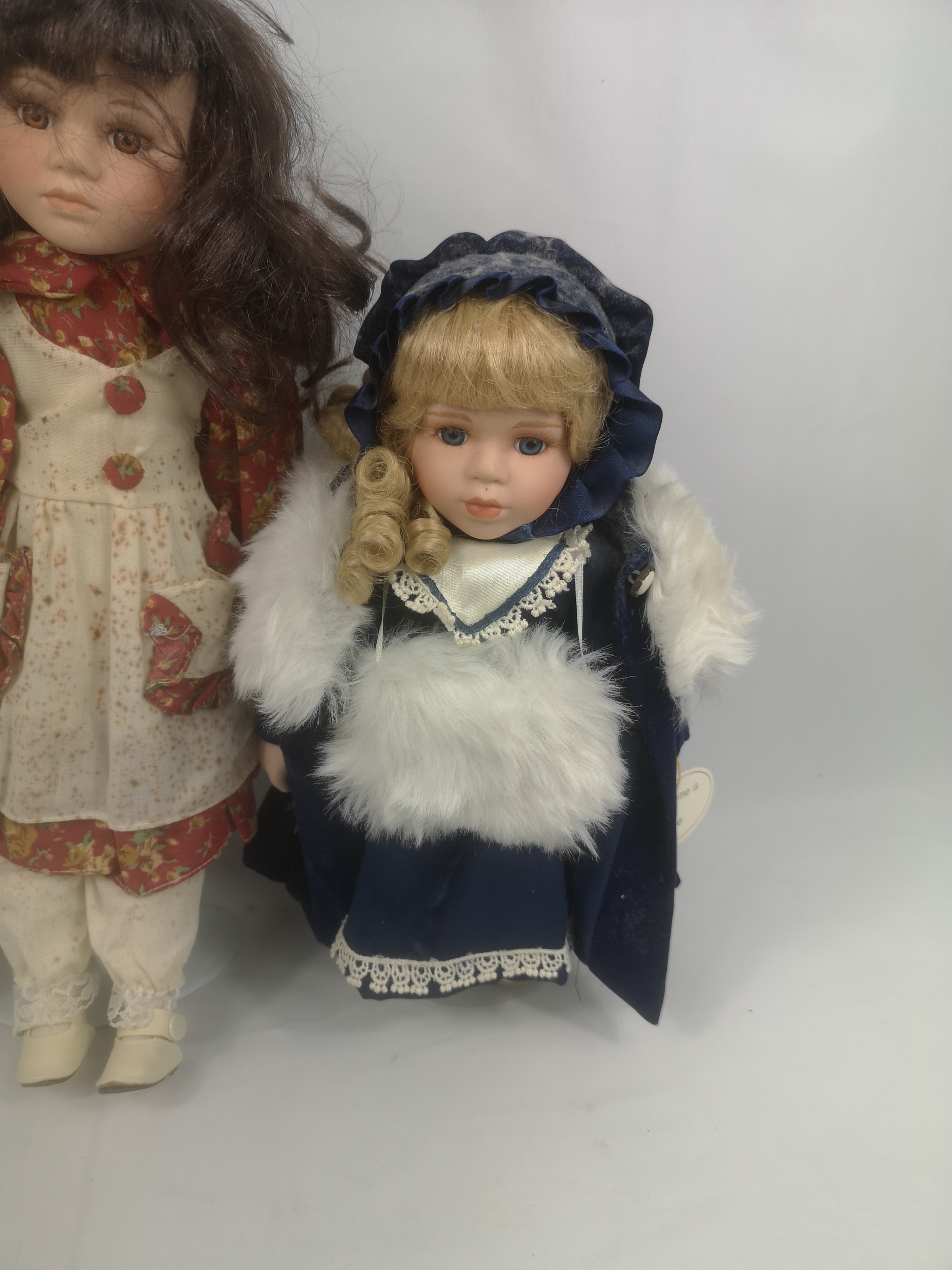 Ten collectors dolls - Image 4 of 7