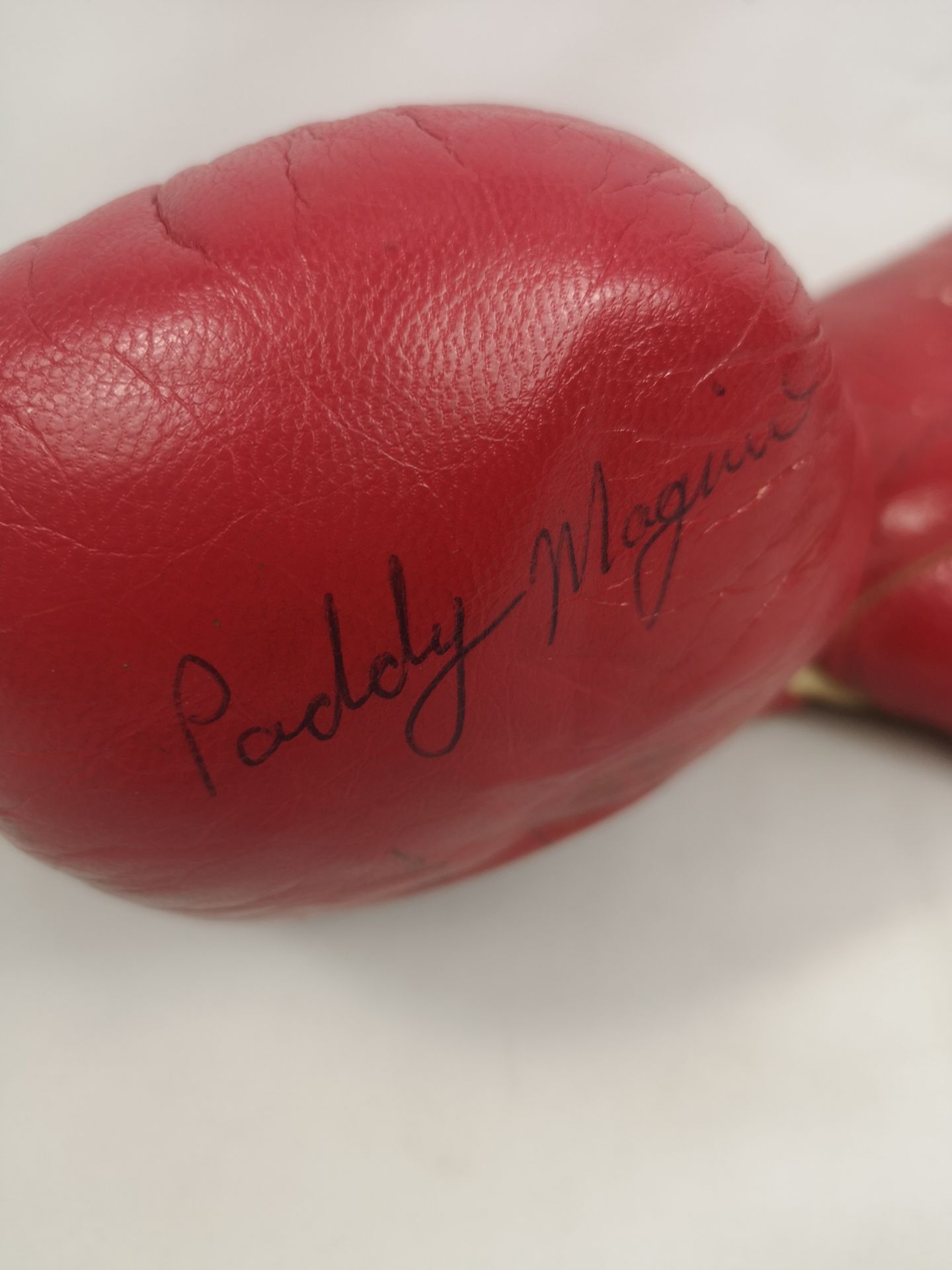 Pair of signed Cleto Reyes boxing gloves with approximately 17 signatures. - Image 5 of 9