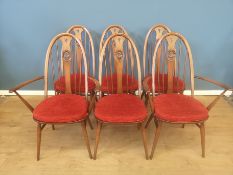 Six Ercol dining chairs