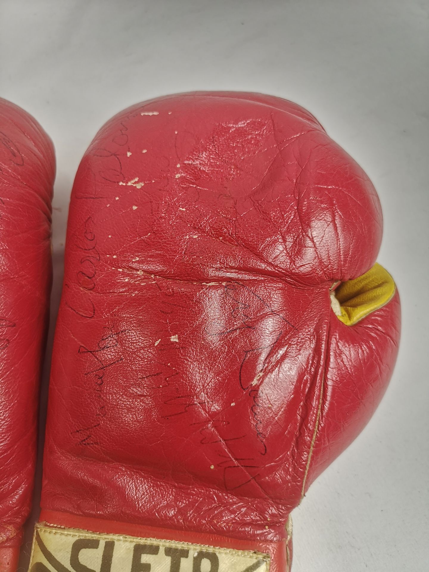 Pair of signed Cleto Reyes boxing gloves with approximately 17 signatures. - Image 3 of 9