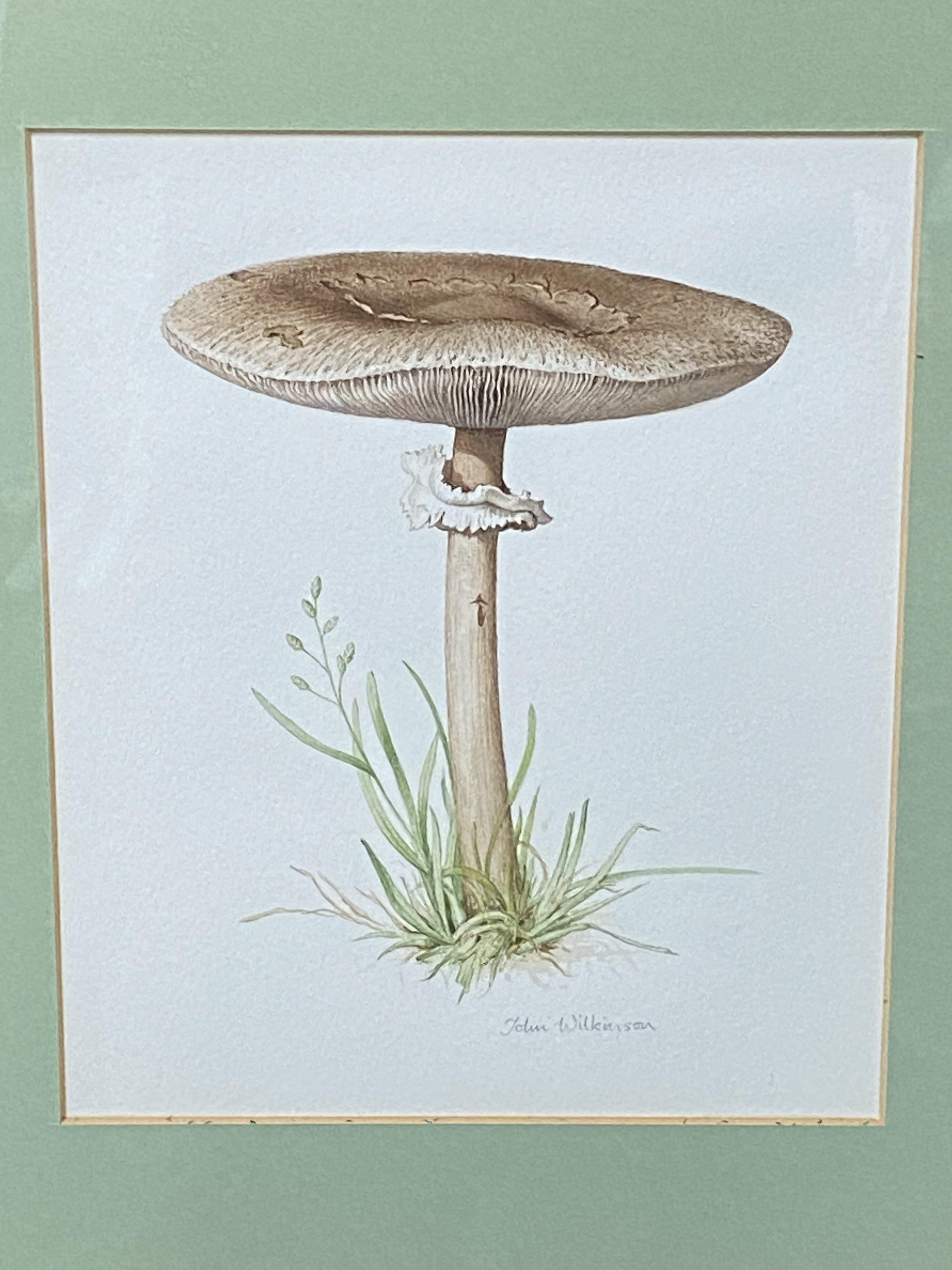 Two framed and glazed watercolours of mushrooms - Image 4 of 5